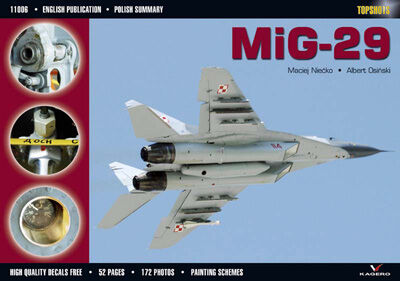 06 - MiG-29 (without decals)