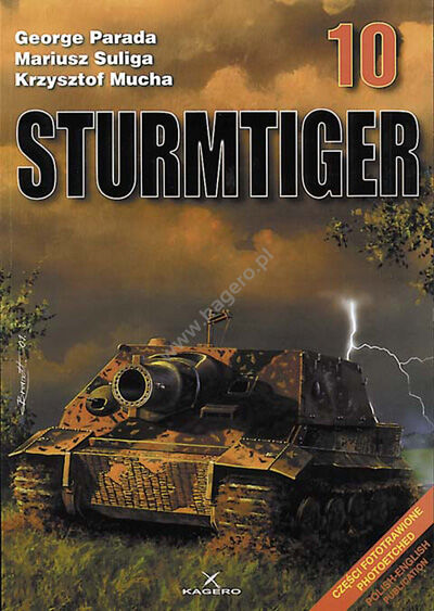 10 - STURMTIGER 