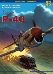 3043p - Curtiss P-40 vol. III