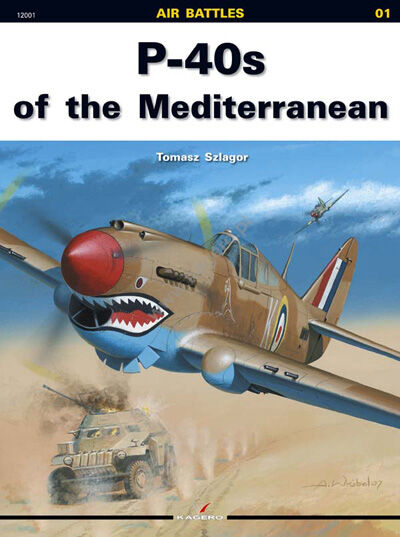 01 - P-40 of the Mediterranean