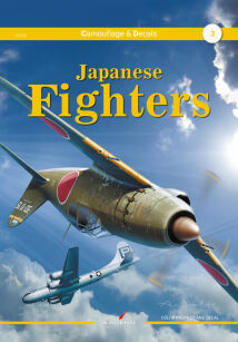 Japanese Fighters