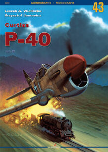 3043 - Curtiss P-40 vol. III (no decals, English text)
